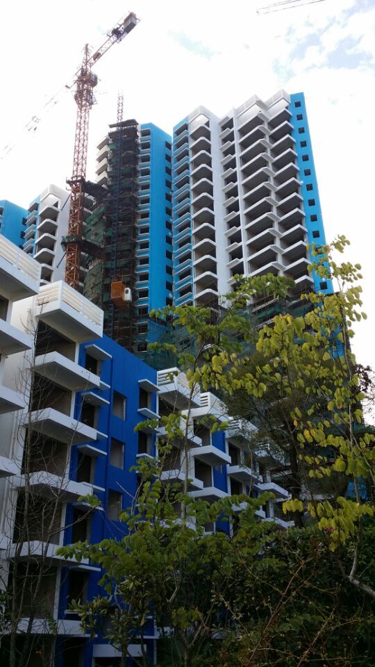 桂林漓江藍(lán)灣外墻涂料裝飾工程(55) - 廣西三象建筑安裝工程有限公司 www.cxyhslwjc.cn